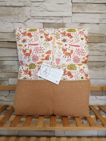 Couverture renard